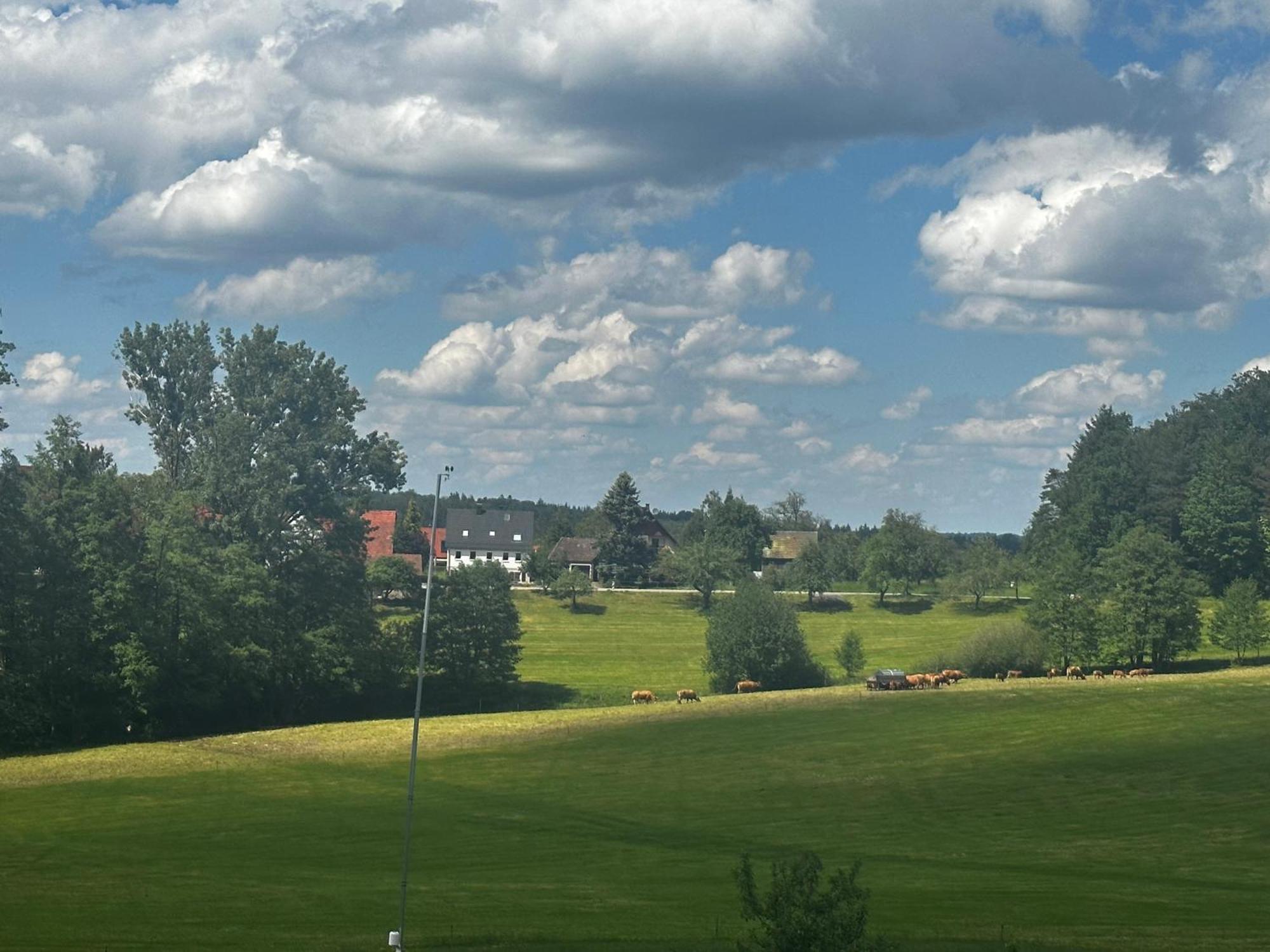 Ferienunterkunft Schwaebischer Wald Oberrot 外观 照片