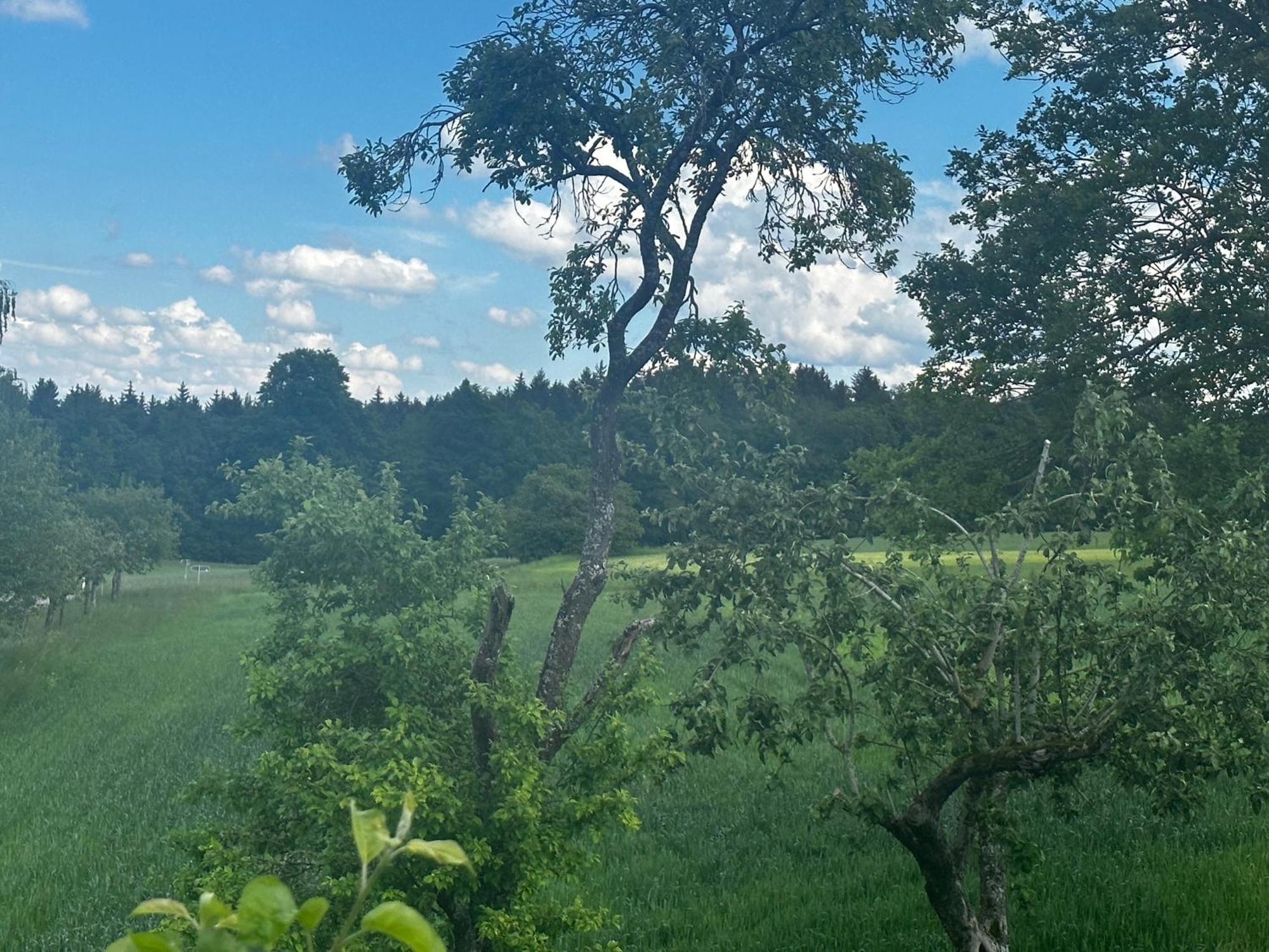 Ferienunterkunft Schwaebischer Wald Oberrot 外观 照片